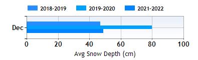 Savognin December snow