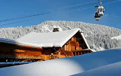 luxury ski chalet