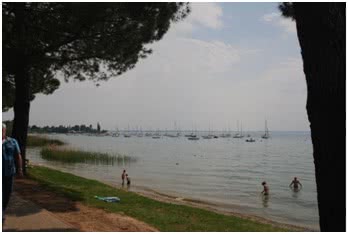 Bardolino