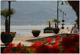 Limone