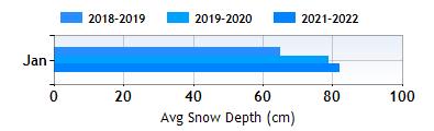 Hemsedal January snow