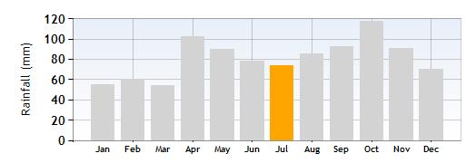 Torri Rainfall in July