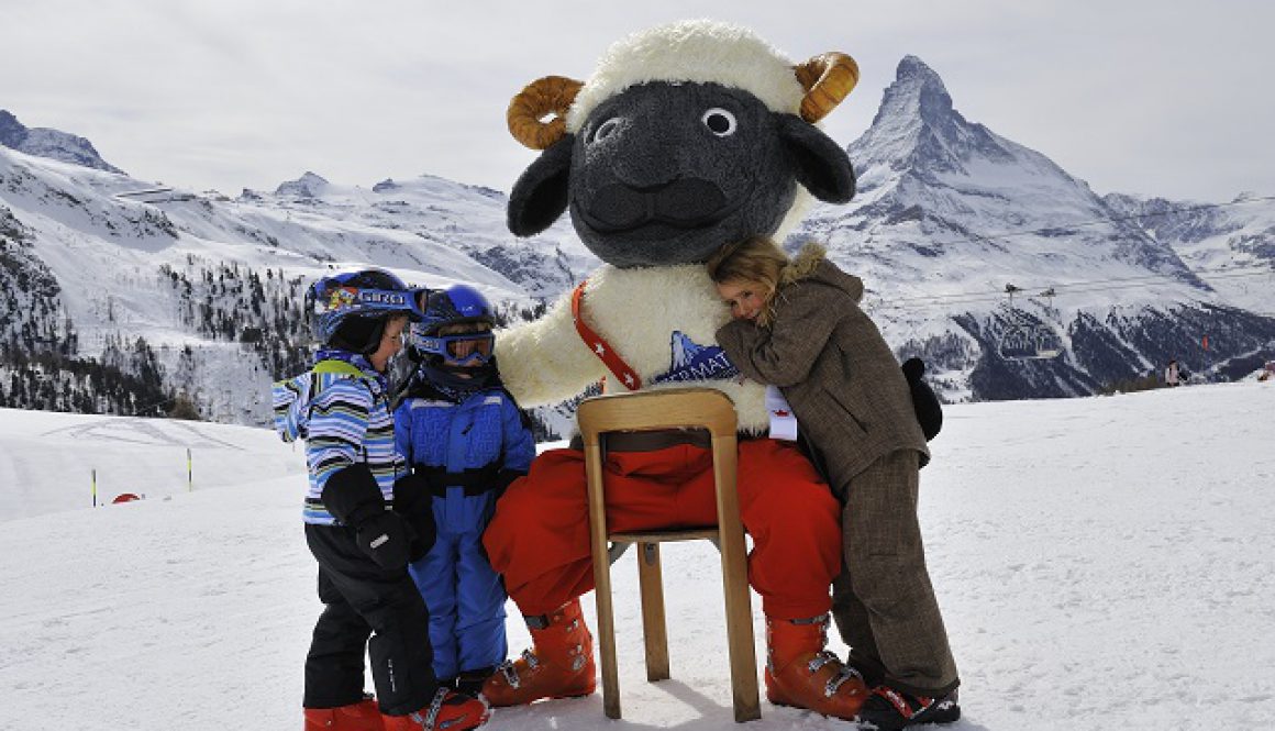 Wolli the sheep CR Michael Portman ZERMATT (1)