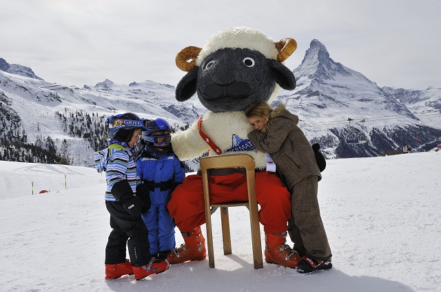 Wolli the sheep CR Michael Portman ZERMATT (1)