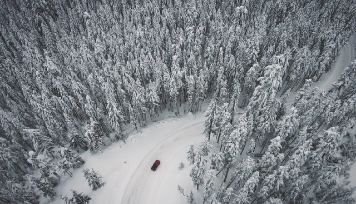 Car driving through a snowy forest