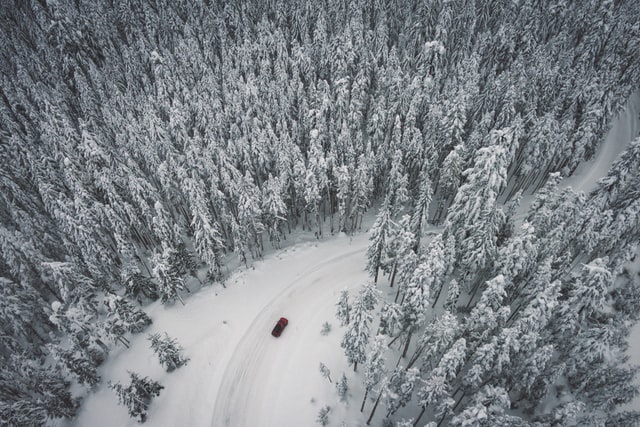 Red car driving through a snowy forest