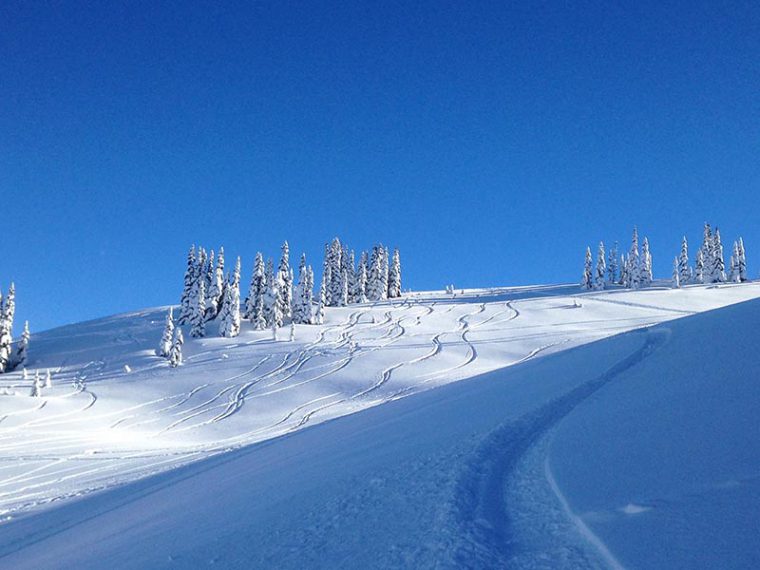 Snowy mountain side with fresh skier tracks going down it