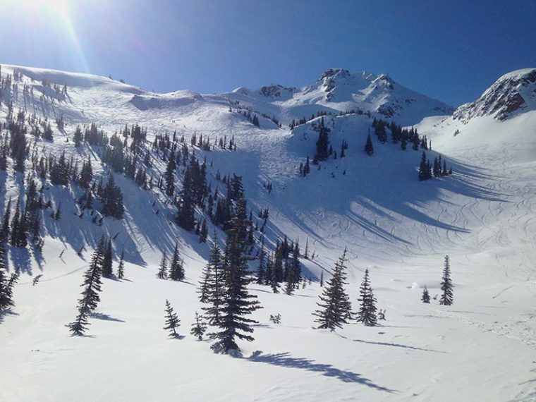 Snowy mountain side dotted with trees in Whistler