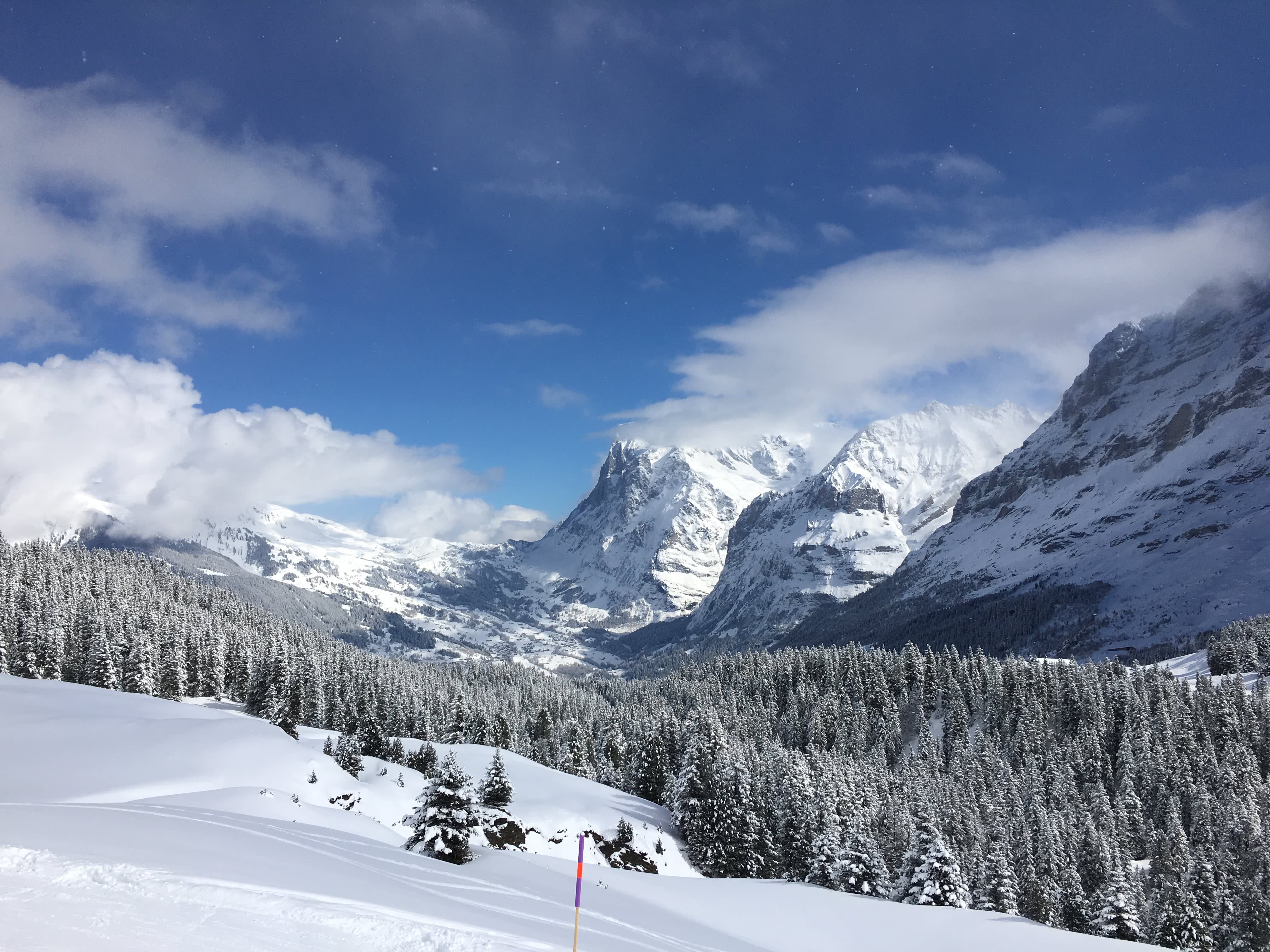 Wengen Ski Holidays 2024 2025 Skiing Wengen SNO