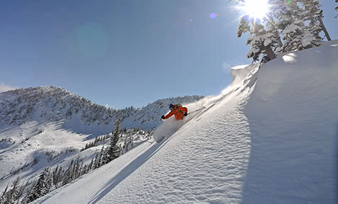 Alta Ski Resort Alta Skiing Holidays Sno Alta Ski Map 2022