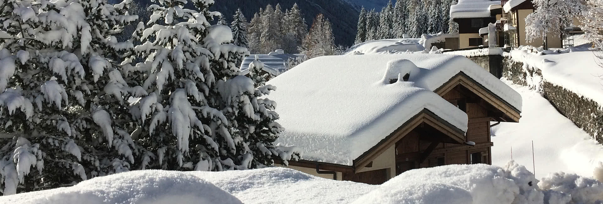 les frasserands argentiere copyright c  burnet  3 