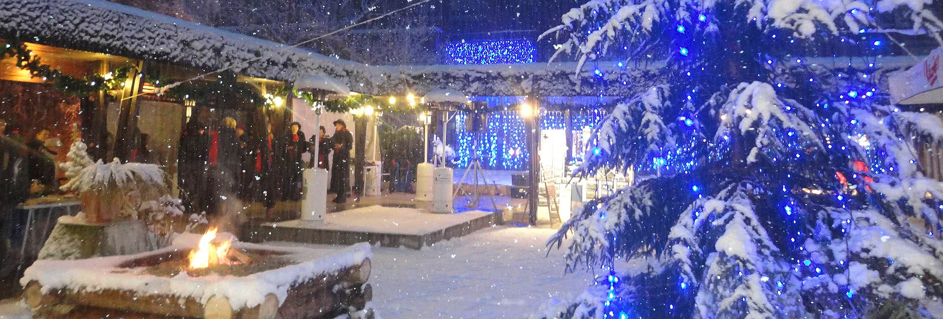 bled apres ski
