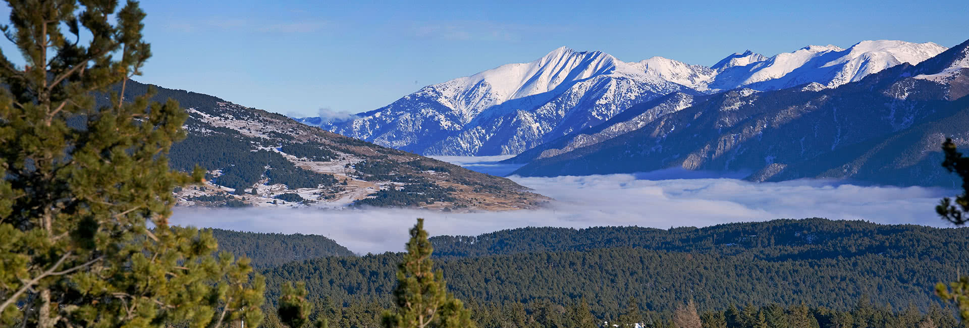 font romeu 5