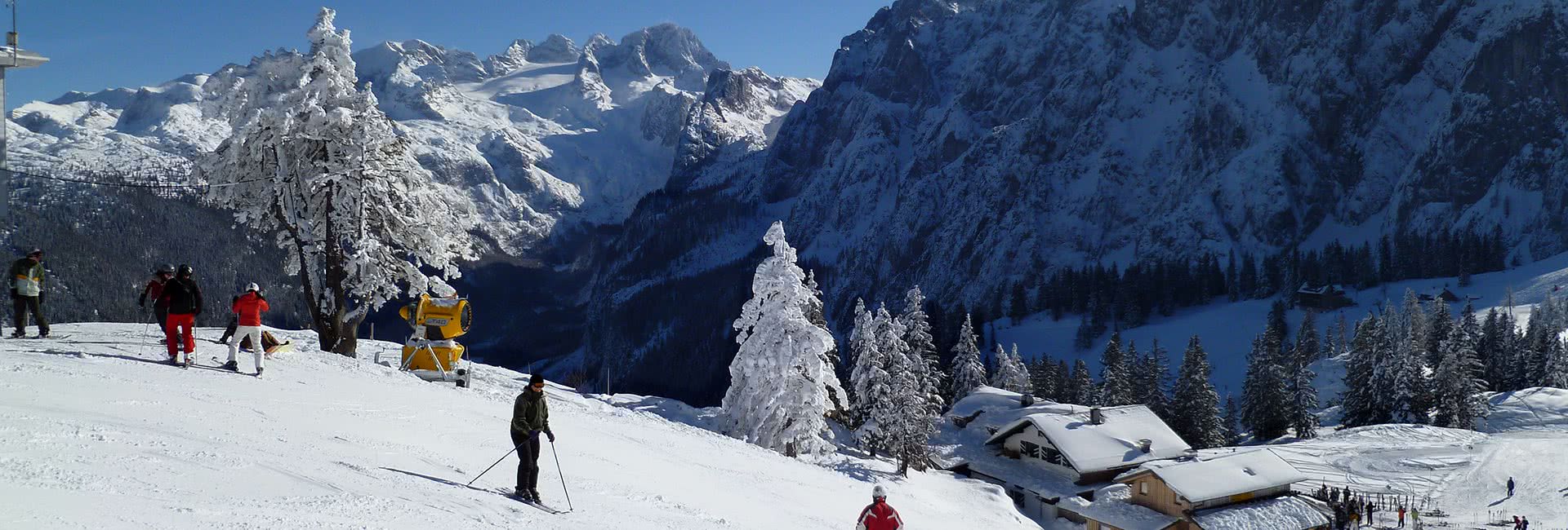 gosau group