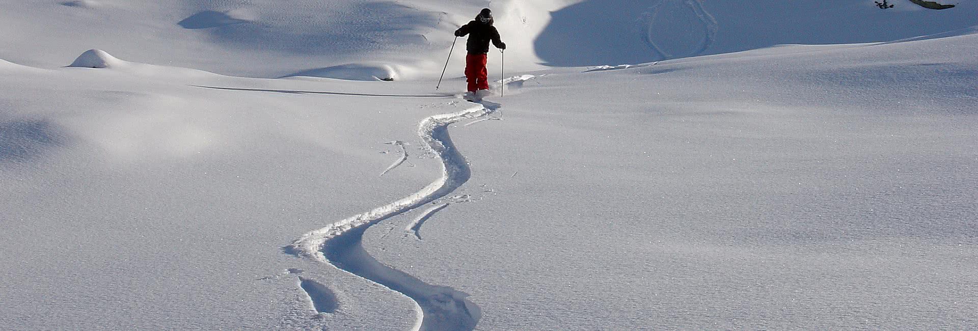 gressoney first tracks