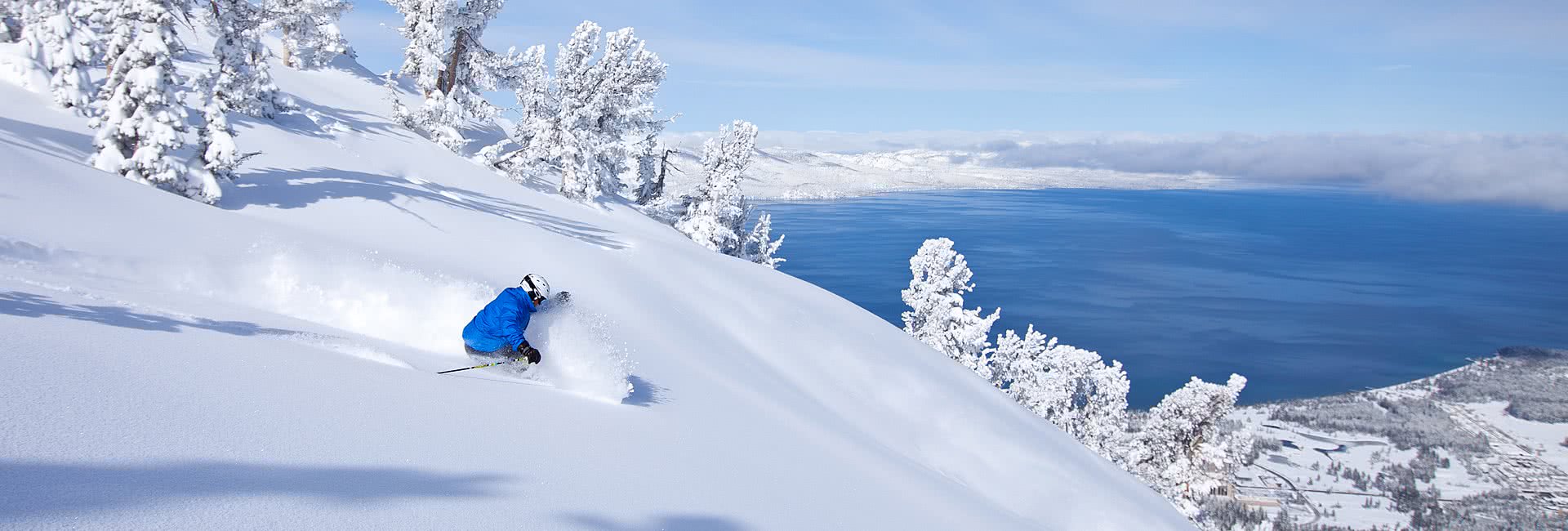 heavenly powder