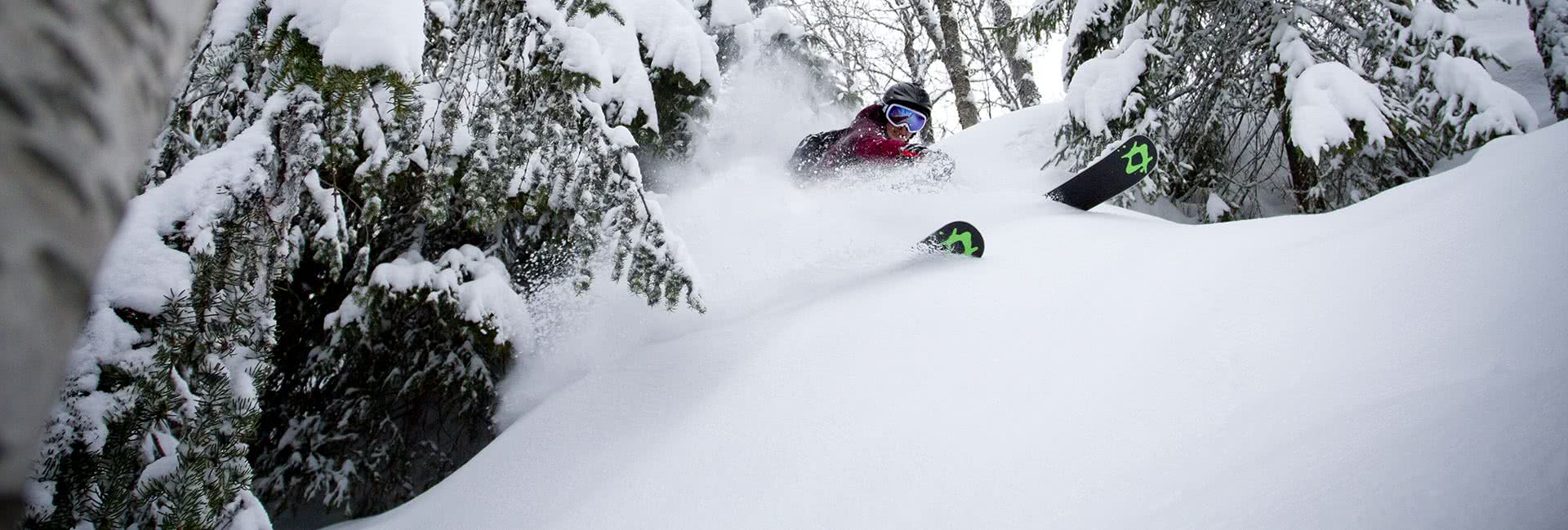 hemsedal powder