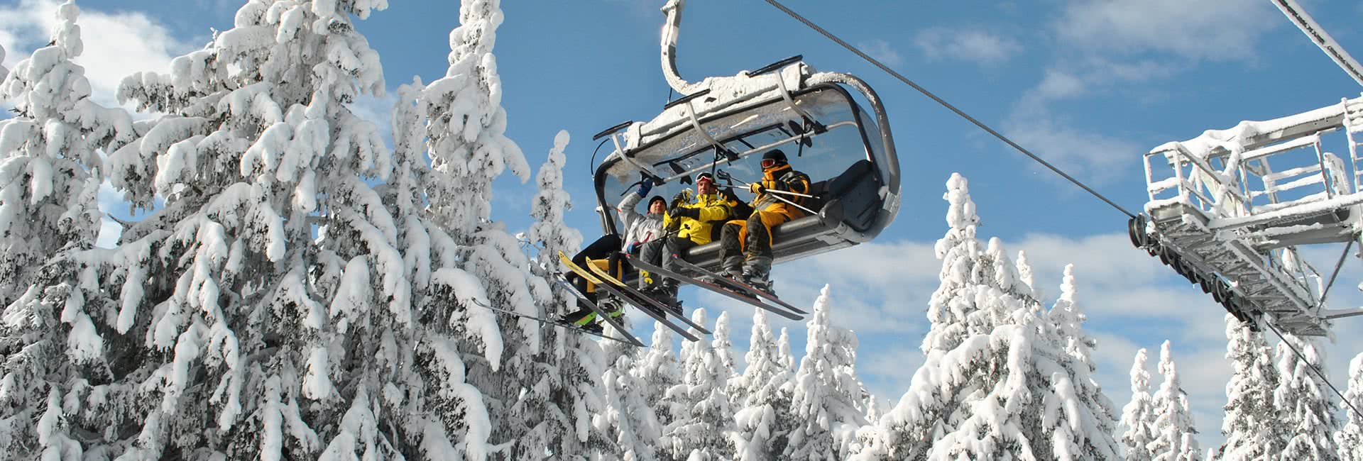 pamporovo group