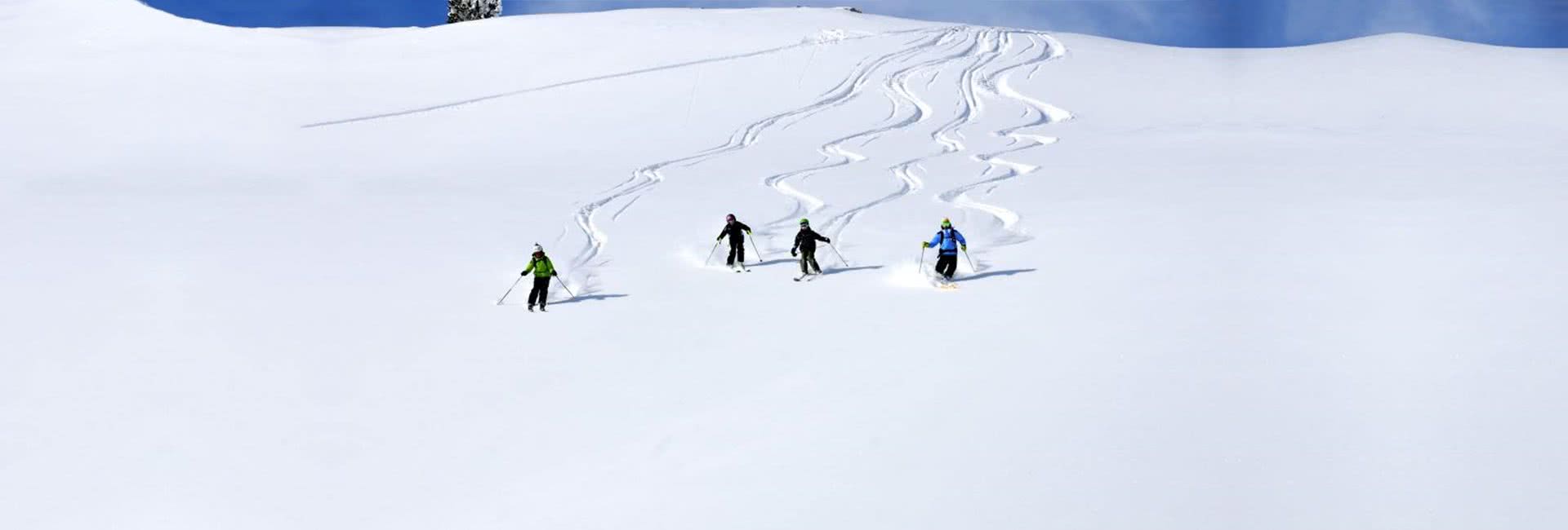 fresh tracks