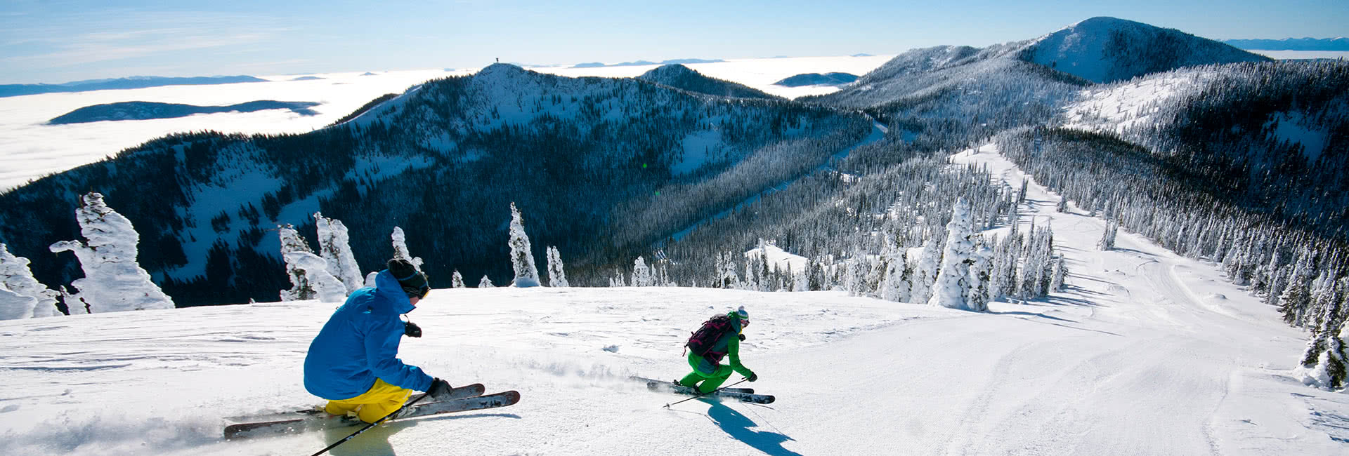 groomers intermediate 2  marseille