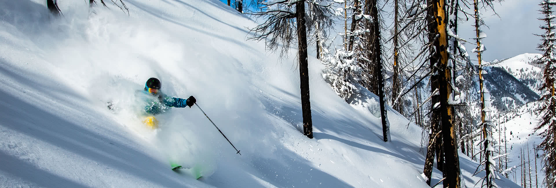 sun valley 1