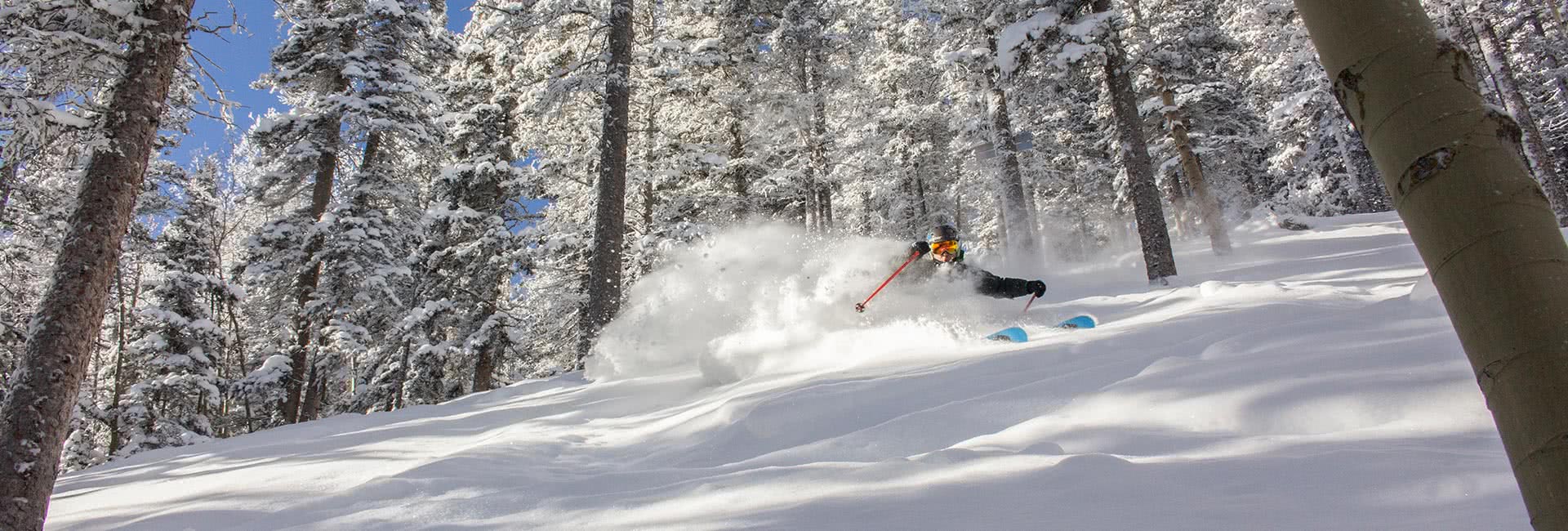 gladed powder