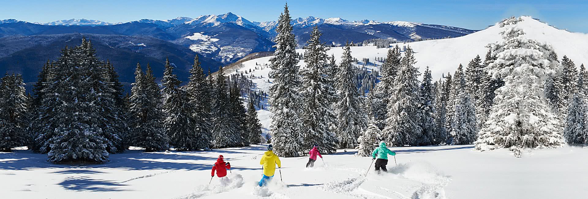 vail group