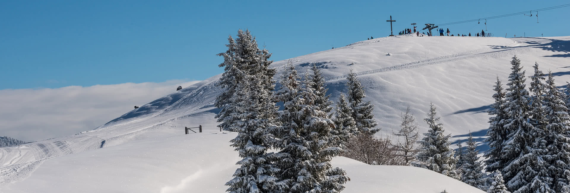 wildsch nau winter timeshot 17