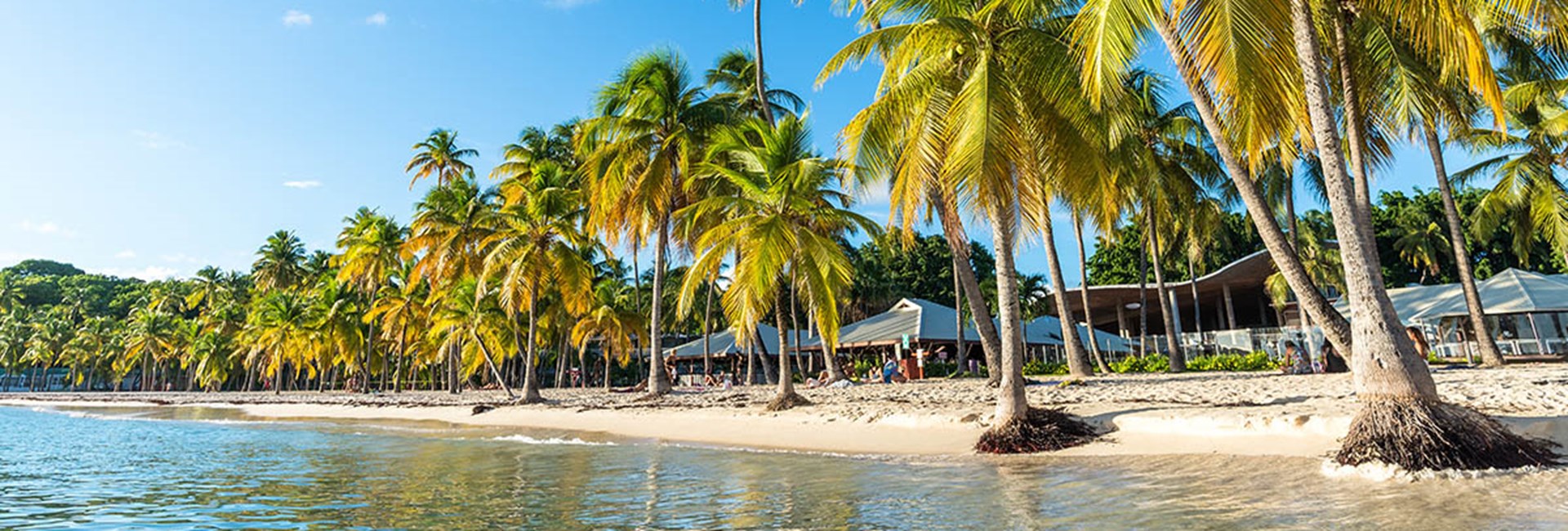 Scenic view of a tropical beachfront with white sand, tall palm trees and clear, calm sea