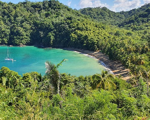 Aerial view of a small tropical beach surrounded by dense rainforest 