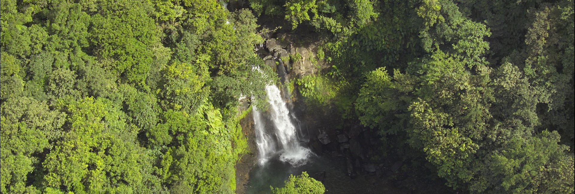  Aerial view of Chute Du Carbet waterfall in Guadeloupe 