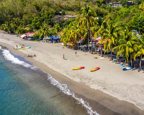 Watersport equipment and people on a white sand beach backed by tall palm trees and forest 