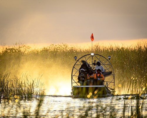 People on an airboat in the centre of a swamp