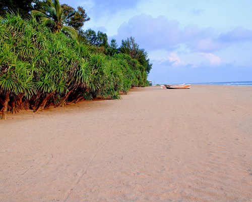 Single Boat Placed On A Tree Lined Wide Beige Beach