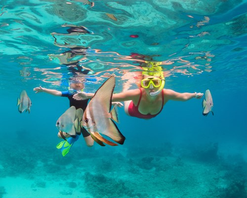  Mother and kid snorkelling with tropical fish