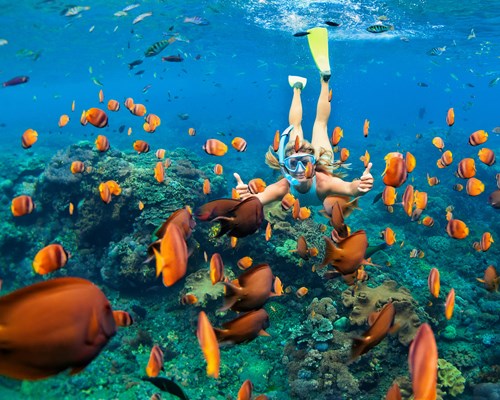 Girl in snorkel mask underwater surrounded by tropical fish above a coral reef