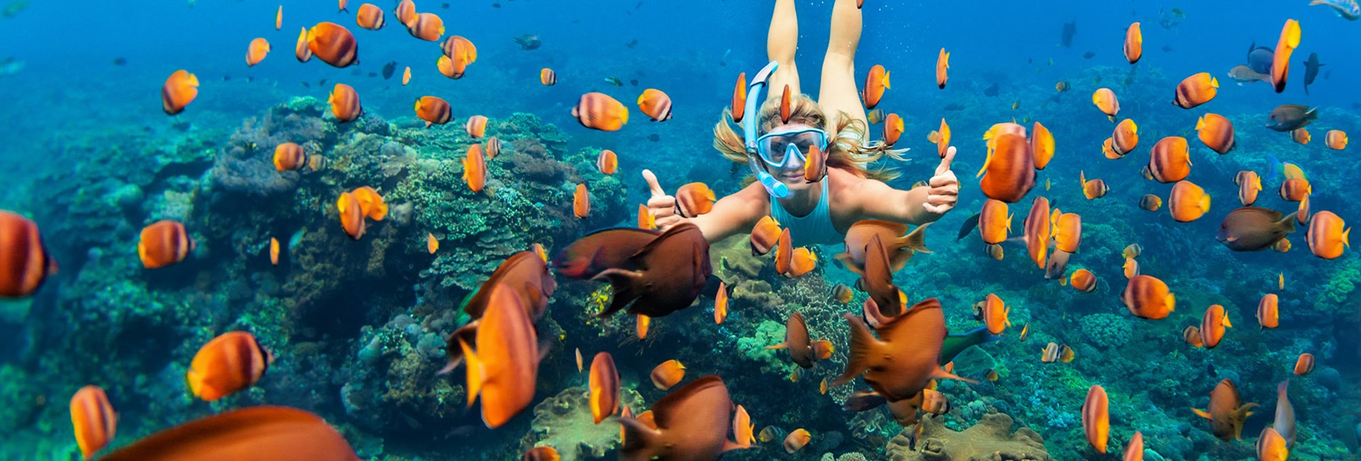 Girl in snorkel mask underwater surrounded by tropical fish above a coral reef