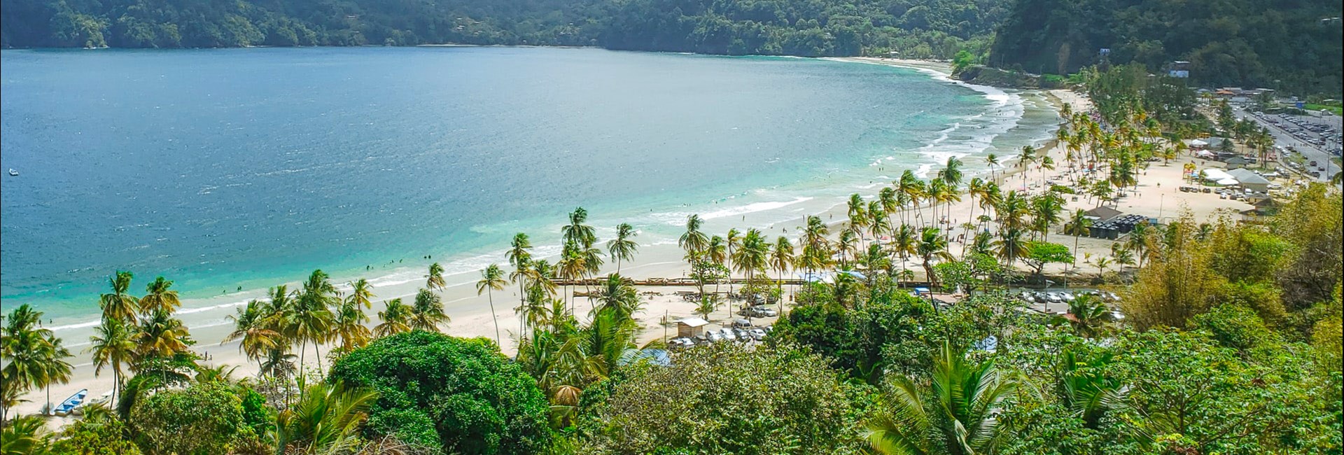 White sand beach cove backed by tall palm trees and tree covered mountains