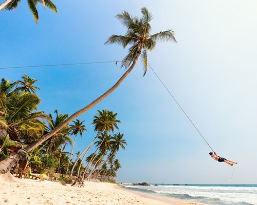 Man swinging from a rope attached to a tall palm tree on a tropical white sand beach 