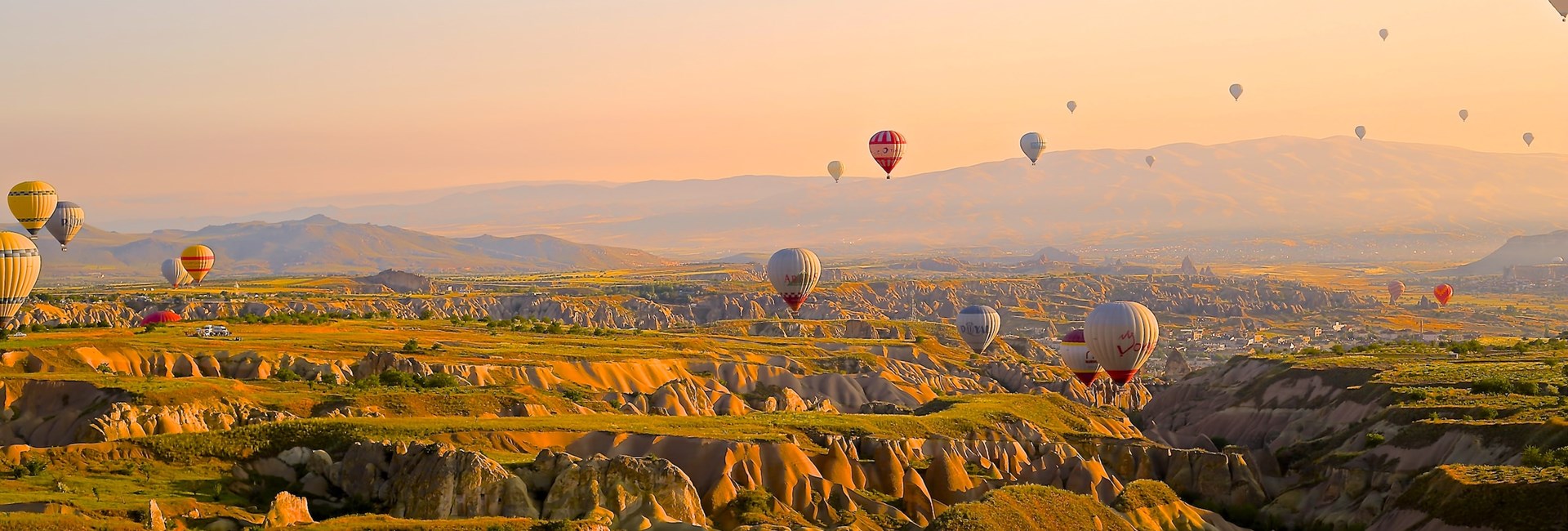 hot air balloons rising over sunflower valley in Turkey