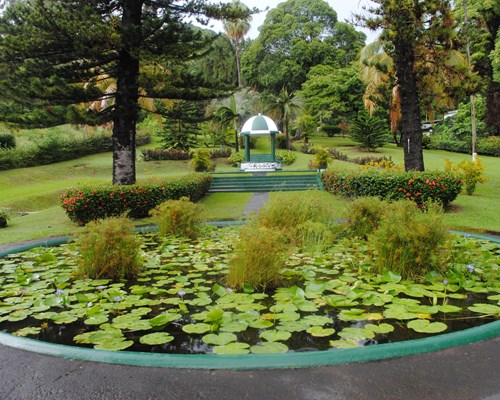 Pond full of lily pads in a flower garden