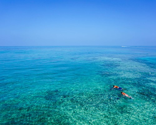 2 people snorkelling in a tropical sea