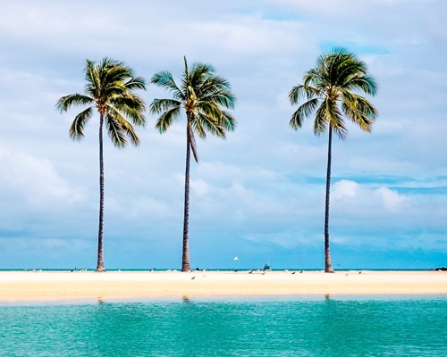3 tall palm trees on a narrow white beach surrounded by turquoise sea