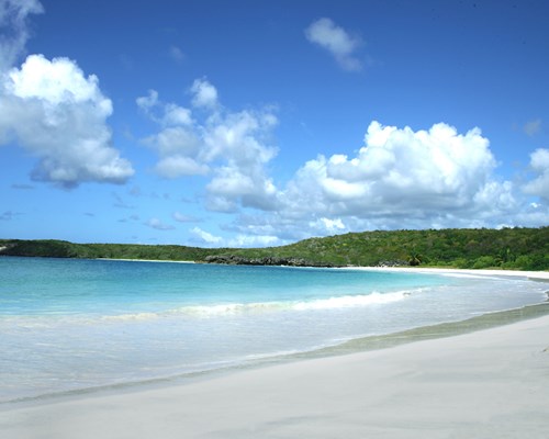 Tranquil beach stretched on flour white sand looking over green island