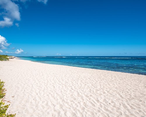 Stretch of empty white sand beach on a sunny day