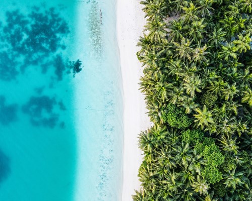 Aerial shot of white sand edged between turquoise water and mangroves