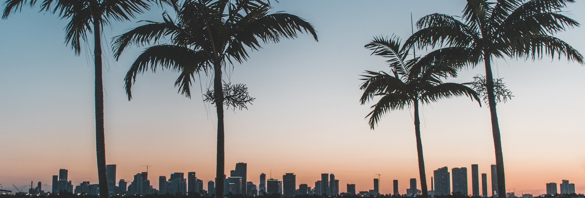 Miami beach with palm trees silhouetted by sunset