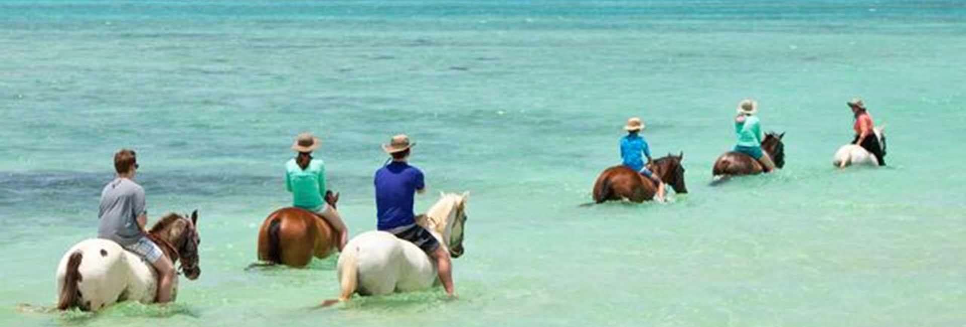group horse riding in Caribbean sea