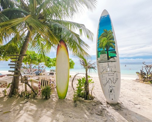 Chairs and surfboard signs next to a palm tree on a white sand beach
