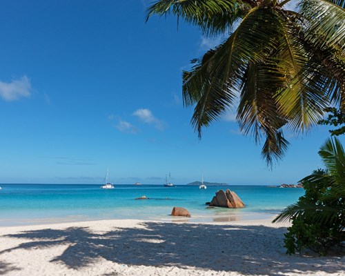Shaded white beach with over hanging palms and blue ocean in background - Anse Lazio 